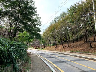 Downhill car road