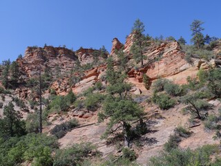 Upward scenic shot breathtaking geologic formations at Zion National Park, Utah, USA.