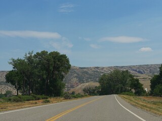 Fototapeta premium Wide shot of winding paved road bordered by trees, Wyoming landscape.