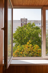 View through an open window of walnut trees in autumn