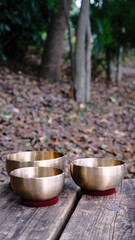 Tibetan singing bowls