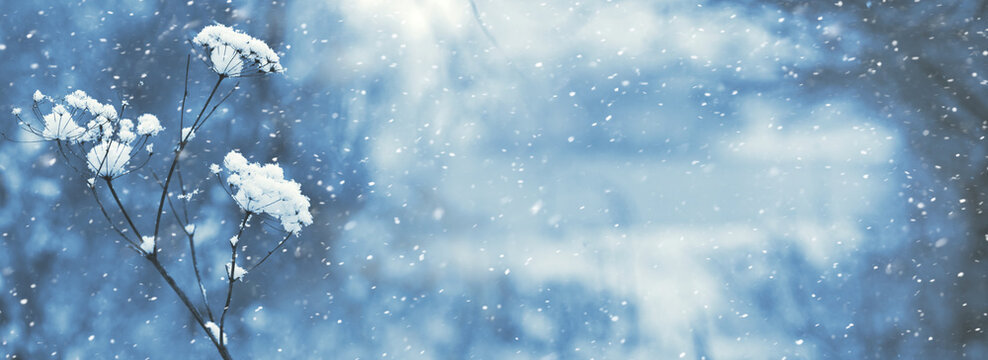 Winter Background Images – Browse 64,384 Stock Photos, Vectors