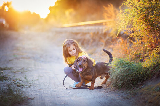 A girl walks in an autumn flogging with a dachshund dog