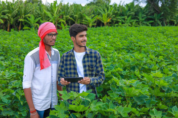 Young handsome agronomist holds tablet touch pad computer in the cotton field and examining crops