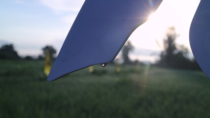 Dew drops in the morning