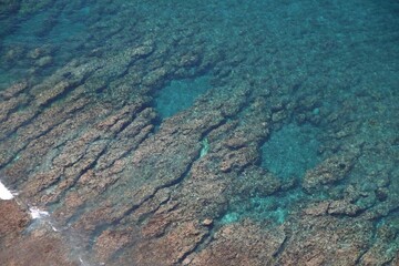 Corals underneath crystal clear green and blue waters, aerial shot.