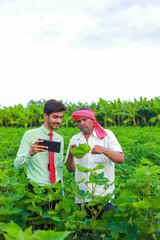 young handsome agronomist with farmer inspecting in cotton field with tablet