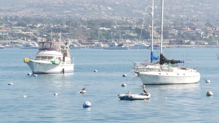 Newport beach harbor, weekend marina resort with yachts and sailboats, Pacific Coast, California, USA. Waterfront luxury suburb real estate in Orange County. Expensive beachfront holiday destination