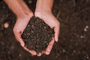 Black soil holding in hand