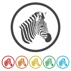 Zebra animal ring icon, color set