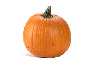 Orange large pumpkin isolated on white.