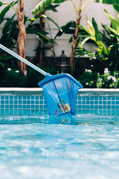 Cleaning of a swimming pool