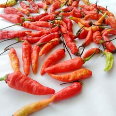 red hot chili peppers on the white background