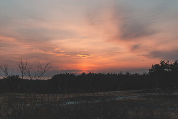 sunset over the forest and sand dunes