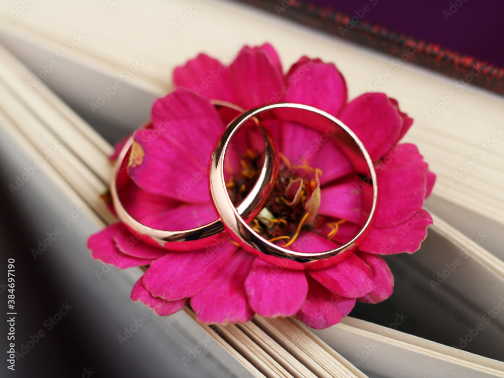 Wall mural golden wedding rings so close, a pink flower and retro book