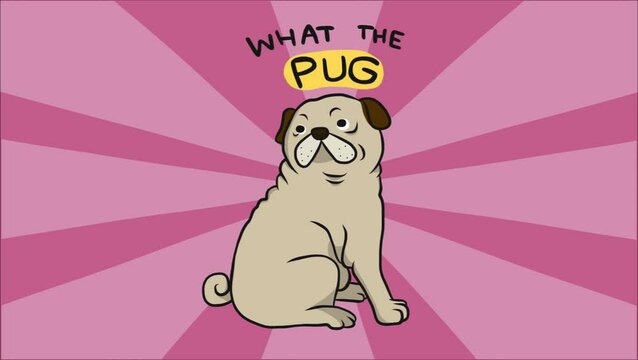 What the pug , cute fat pug cartoon
