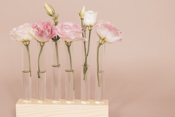 White and pink eustoma flowers in glass test tubes on a wooden stand