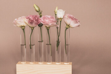 White and pink eustoma flowers in glass test tubes on a wooden stand
