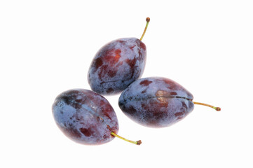 白バックにプルーン
