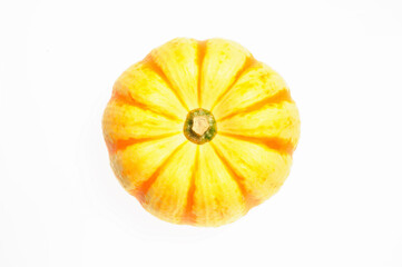 白バックにプッチーニカボチャ