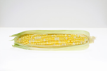 白バックにトウモロコシ