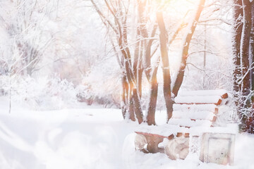 Winter landscape. Forest under the snow. Winter in the park.