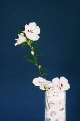 フヨウの花のフラワーアレンジ