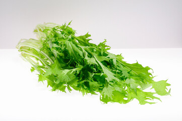 白バックに野菜ミズナ