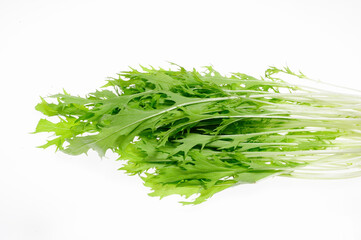 白バックに野菜ミズナ