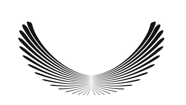 Abstract Bird in the Fly . Wings icon . Logo Designed Using Black speed lines . Vector