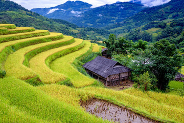 The house of ethnic minorities of Ha Nhi is located next to the golden rice terraces