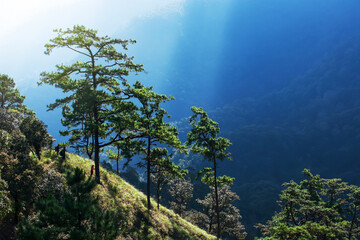 Fototapeta na wymiar Hiking on Himalayas mountain ridge.