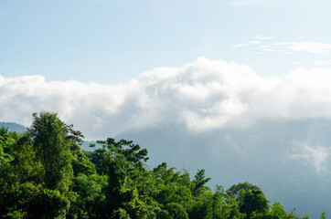Obraz na płótnie Canvas Panoramic views of the misty white mountains