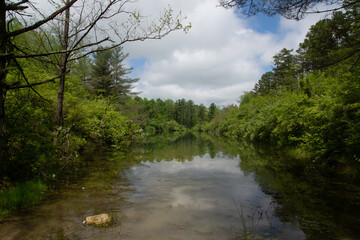 stripmines in summer