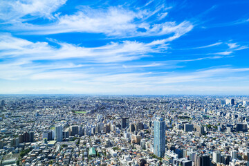 Naklejka na ściany i meble 東京　都庁から眺める都市風景