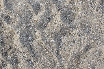 Sandy beach