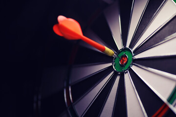 Darts. The dart for playing in the game board is stuck. Hit sector in darts. The concept of a...