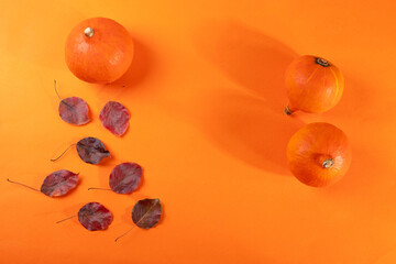 pumpkins