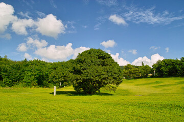 坊平高原