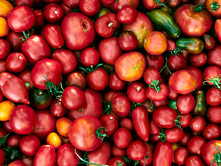 Fresh ripe tomatoes on wooden background.