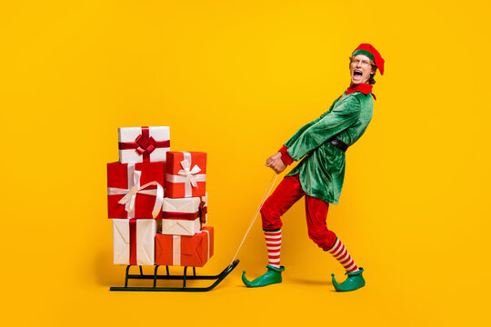 Full length body size view of his he nice attractive overhelmed funny guy elf carrying heavy giftboxes on sledge yelling isolated over bright vivid shine vibrant yellow color background