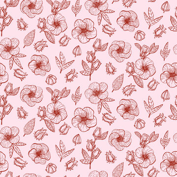 Pattern with Hibiscus Sabdariffa or Roselle flowers, leaves and berries, seeds. Graphic hand drawn engraving style. Botanical illustration for packaging, menu cards, posters, prints. © Lullula
