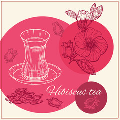 Illustration with Hibiscus Sabdariffa or Roselle flowers, leaves and berries, seeds. Hibiscus tea. Graphic hand drawn engraving style. Botanical design for packaging, menu cards, posters, prints.