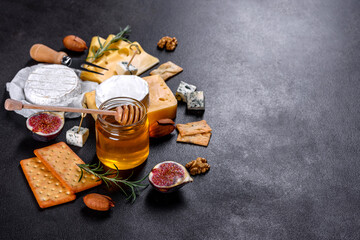 Beautiful delicious camembert cheese, parmesan, brie with grapes and figs