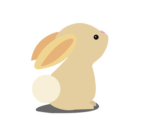 Easter bunny isolated on white background vector design illustration