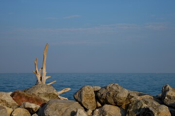 Huge stones and wooden logs on the sea shore. Stones, wood and blue sea level. Sky with light clouds. Dry tree on the sea shore.