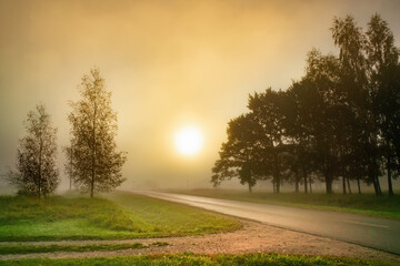 Beautiful landscape with foggy sunlight on the road in the morning of autumn
