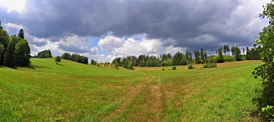 Obraz premium View of a green mountain meadow surrounded by trees, in the background a sky full of clouds. Sunlit pasture for cows. Road through a green meadow. Horizon with trees, blue sky and storm clouds.