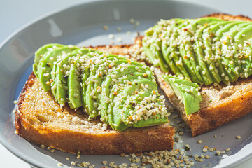 Avocado toast with hemp seeds on gray plate. Healthy vegan food concept.