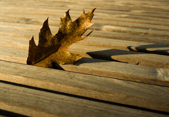 Dark wooden background or texture